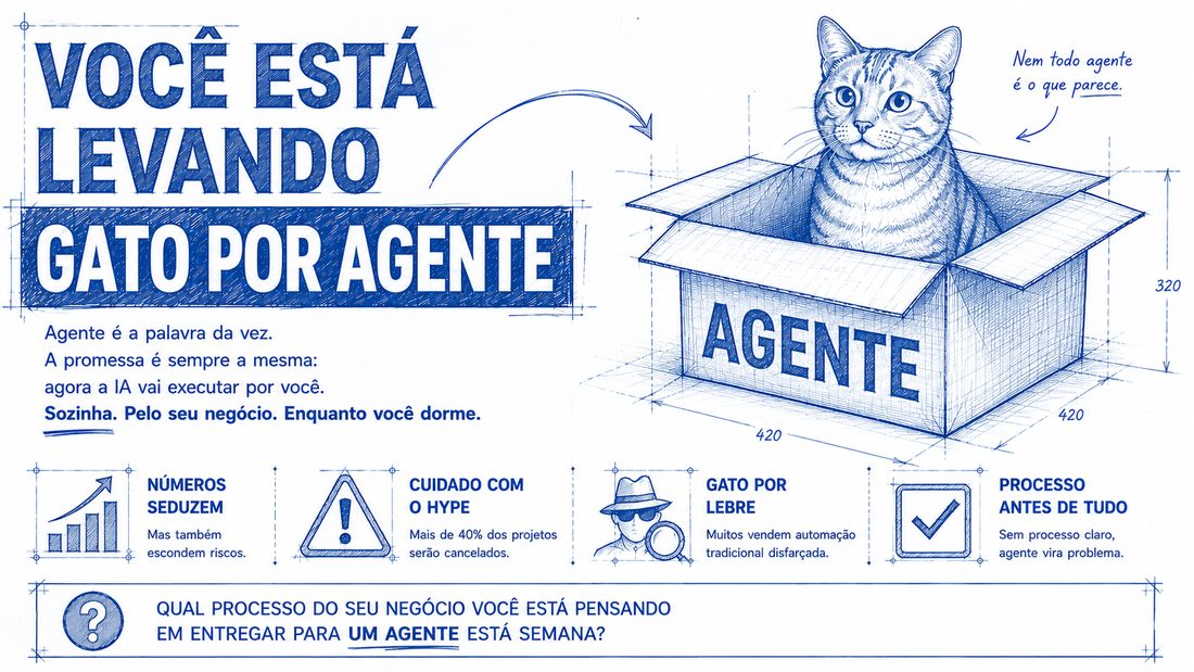 Você está levando gato por agente