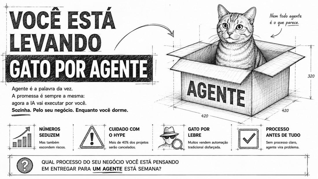voce-esta-levando-gato-por-agente